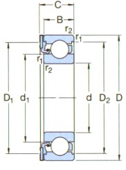 SKF-*ICOS-D1B01-TN9-深溝球軸承